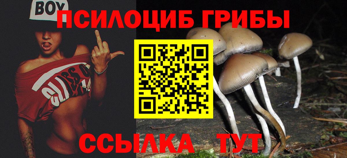 Галлюциногенные грибы Psilocybine cubensis  купить наркотик  Саяногорск  Псилоцибиновые грибы прущие грибы  Вход с VPN 