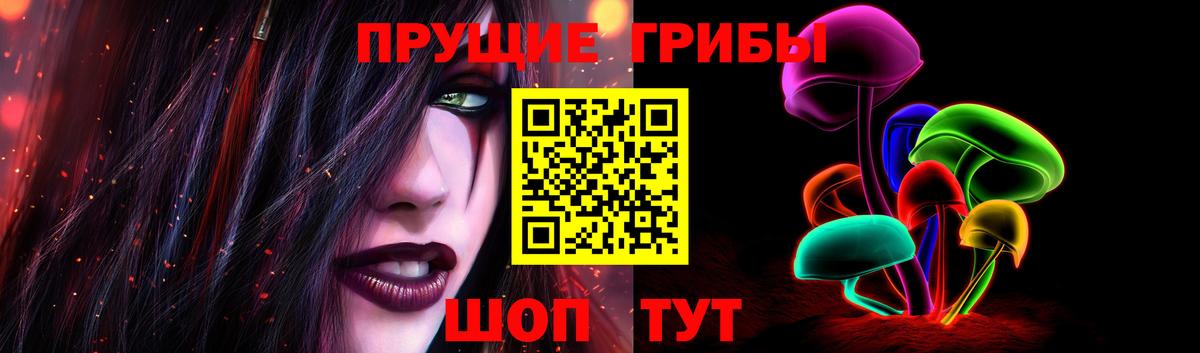 Галлюциногенные грибы Cubensis Саяногорск